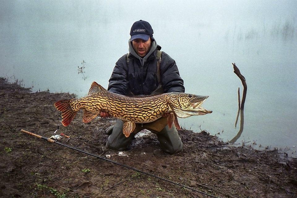 diverse - 429110_365559076805474_135412161_n[1].jpg